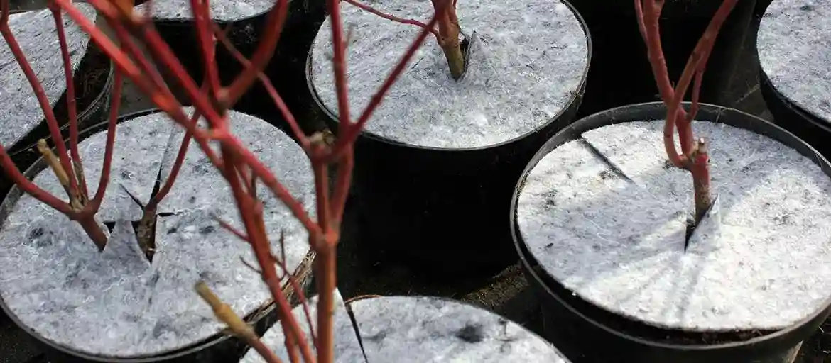 Polyesterfiberdug